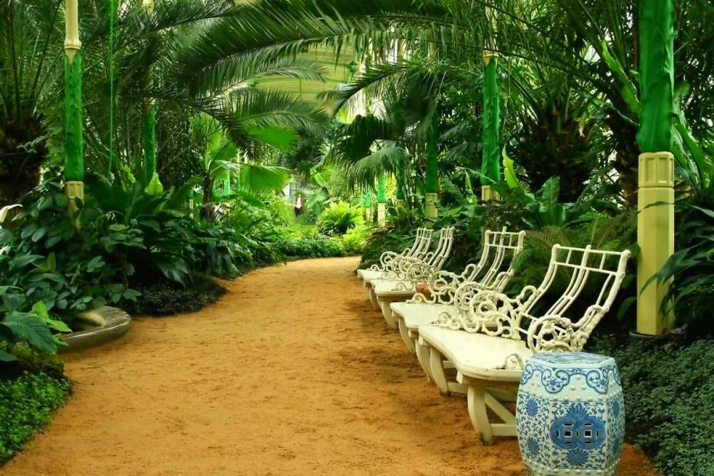 Строительство зимних садов в Москве и Ближнем Подмосковье